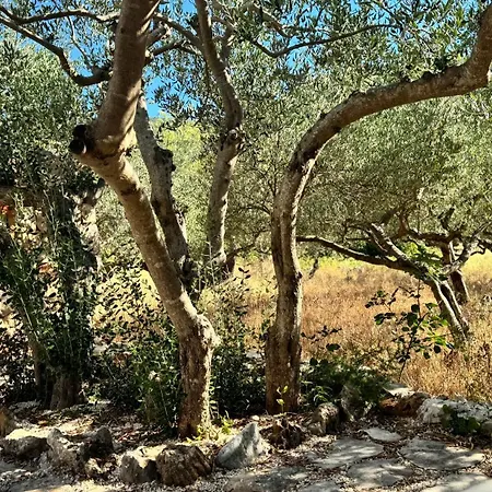 Dolce Terra Villa *