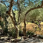 Dolce Terra Villa *