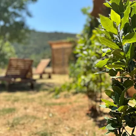 Dolce Terra Вилла Стари Град