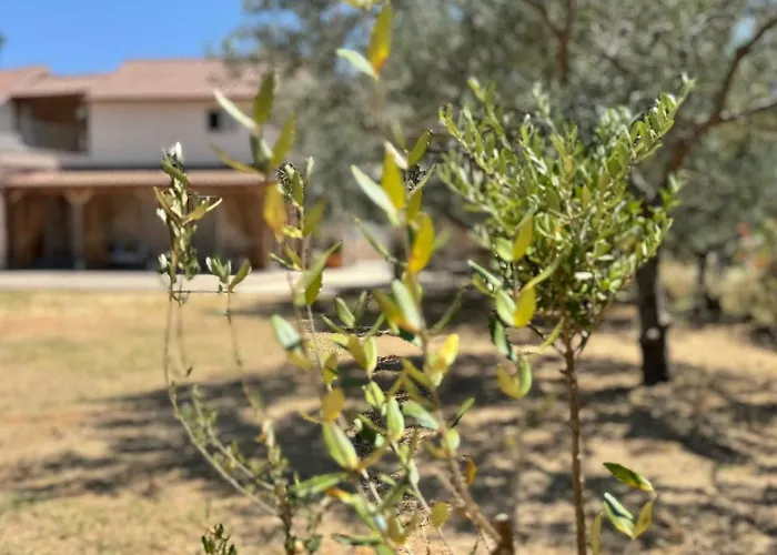 Βίλα Dolce Terra *