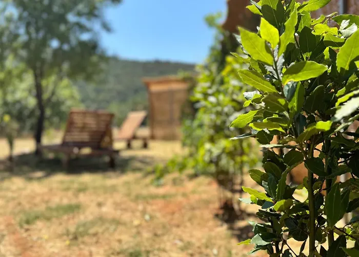 Dolce Terra Βίλα Stari Grad (Hvar)