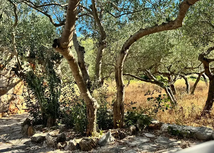 Dolce Terra Βίλα *