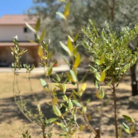 Villa Dolce Terra *
